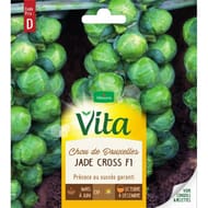 Vita Vilmorin chou bruxelles jade cross hf1