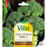 Vita Vilmorin chou brocoli verdia hf1