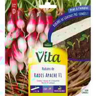 Vita Vilmorin ruban radis apache f1 2x2m