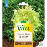 Vita Vilmorin chicoree frisee de meaux