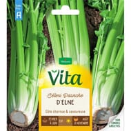 Vita Vilmorin celeri branche elne