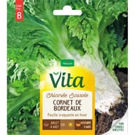 Vita Vilmorin chicoree scarole cornet bordeaux