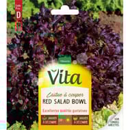 Vita Vilmorin laitue salade bowl rouge