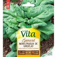 Vita Vilmorin epinard viroflay