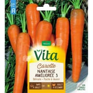 Vita Vilmorin carotte nantaise  3