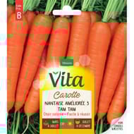 Vita Vilmorin carotte nantaise  3 race tamtam