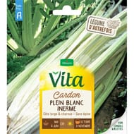 Vita Vilmorin cardon plein inerme