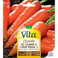 Vita Vilmorin carotte de colmar 2