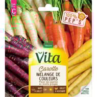 Vita Vilmorin carottes en melange