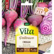 Vita Vilmorin betterave chioggia
