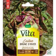 Vita Vilmorin laitue brune hiver
