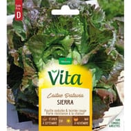 Vita Vilmorin laitue batavia sierra