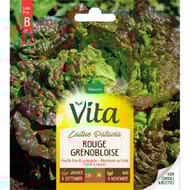 Vita Vilmorin laitue batavia rouge grenobloise