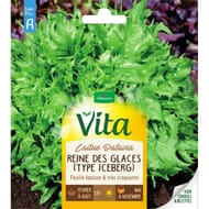 Vita Vilmorin laitue batavia reine des glaces
