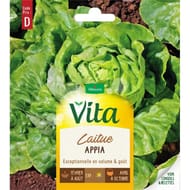 Vita Vilmorin laitue appia