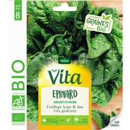 Vita vilmorin epinard geant hiver bio
