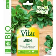 Vita vilmorin mache grosse graine bio