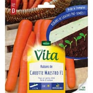 Vita Vilmorin ruban carotte maestro 2x2m