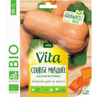Vita vilmorin courge butternut bio