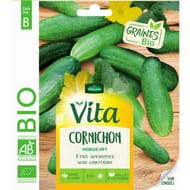 Vita vilmorin cornichon hokus bio