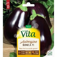 Vita Vilmorin aubergine bonica hf1