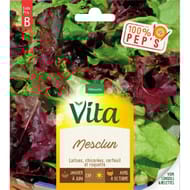 Vita Vilmorin mesclun