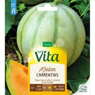 Vita Vilmorin melon charentais