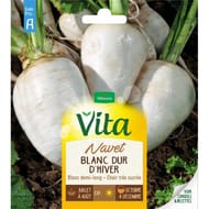 Vita Vilmorin navet blanc dur hiver