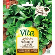 Vita Vilmorin mache coquille louviers