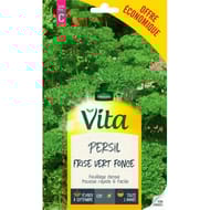 Vita Vilmorin persil frise vert frise eco