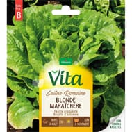 Vita Vilmorin laitue romaine blonde maraichère