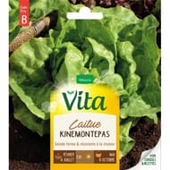 Vita Vilmorin laitue kinemontepas