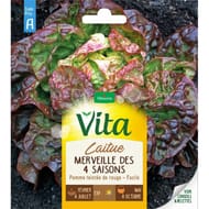 Vita Vilmorin laitue merveille des 4 saisons
