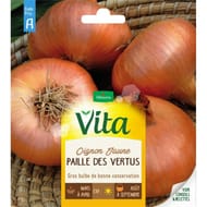 Vita Vilmorin oignon jaune paille