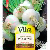Vita Vilmorin oignon blanc hatif paris