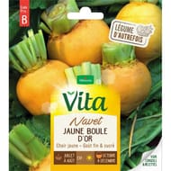 Vita Vilmorin navet jaune boule or