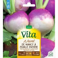 Vita Vilmorin navet de nancy feuille entiere