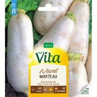 Vita Vilmorin navet marteau