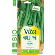 Vita vilmorin haricot maxi  bio