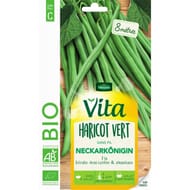 Vita vilmorin haricot neckarkonigin bio