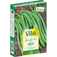 Vita Vilmorin haricot argus