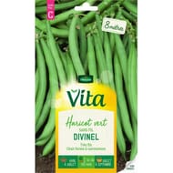 Vita Vilmorin haricot divinel