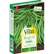 Vita Vilmorin haricot divinel