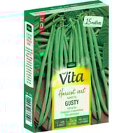 Vita Vilmorin haricot gusty