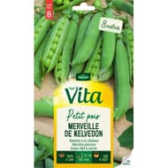 Vita Vilmorin pois merveille kelvedon