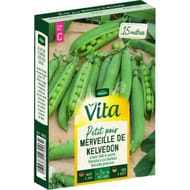 Vita Vilmorin pois merveille kelvedon