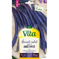 Vita Vilmorin haricot amethyst