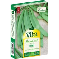 Vita Vilmorin haricot roma plat