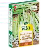 Vita Vilmorin haricot coco nain blanc