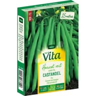 Vita Vilmorin haricot castandel